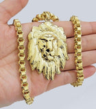 Real 10kt Gold Box Byzantine Necklace Lion Charm Pendant SET Chain 6mm 18 Inches